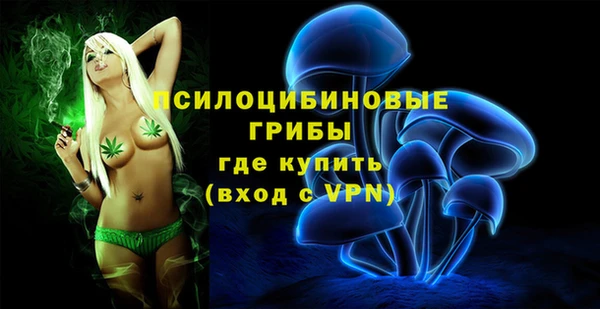 дмт Алексеевка
